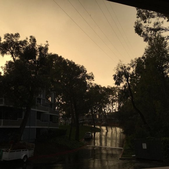 Meet your Posher, Keyla - Picture 7 of 8